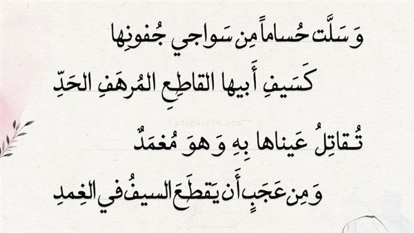 موقع أيام نيوز