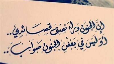 أقوال عن الجنون