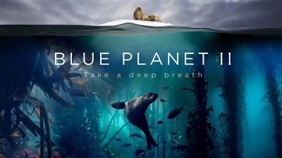 قصة مسلسل Blue Planet II
