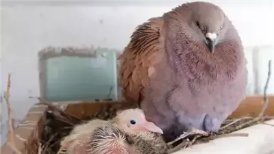 أشياء سمعنا كثيراً عنها لكن لم تُتَاح لنا الفرصة لرؤيتها 