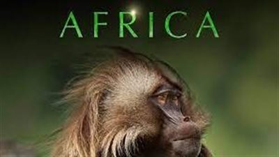 قصة مسلسل Africa