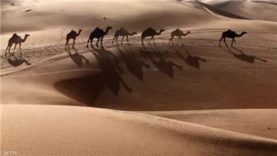 حقائق مدهشة عن الصحراء العربية الكبرى