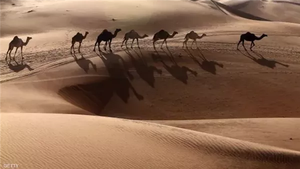 موقع أيام نيوز