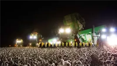 حل لغز الصورة التي حيرت معظمنا