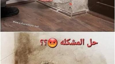تعرف على حل مشـكله الرطوبه والدهان