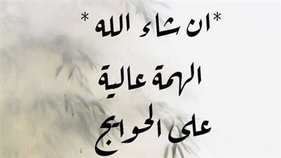 اقتباسات رائعة عن الهمة