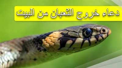 دعاء خروج الثعبان من البيت مكتوب