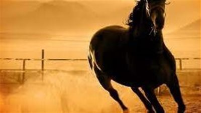 أروع ما قيل في وصف الخيل