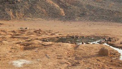 كل ما تريد معرفتة عن وادي الرجيع