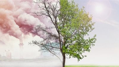 أجمل تعبير عن التلوث