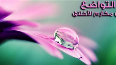 أجمل تعبير عن التواضع