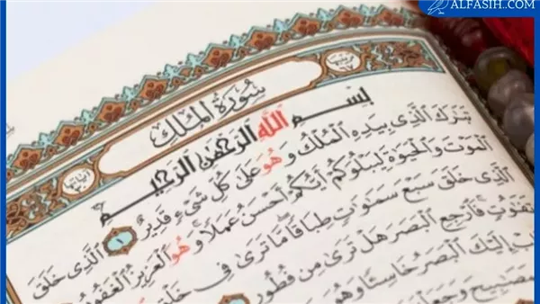 موقع أيام نيوز
