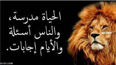 أجمل ما قيل عن القوة 