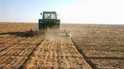  اجمل تعبير عن تعمير الصحراء