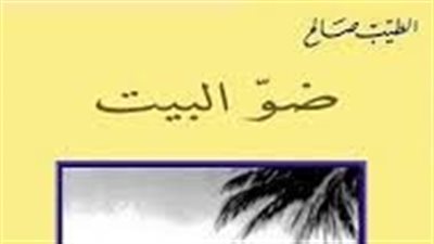 ملخص رواية بندر شاة ضو البيت
