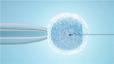 افضل تعبير عن التلقيح الصناعي ونقل الأجنة 