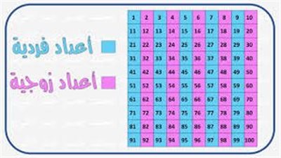 كل ما تريد معرفته عن الأعداد الزوجية والفردية