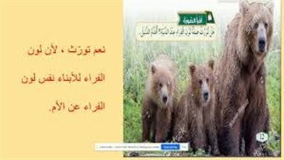 كل ما تريد معرفته عن الكائنات الحية تورث صفاتها