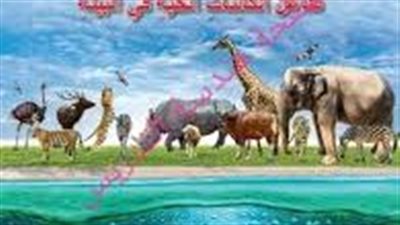 كل ما تريد معرفته عن تفاعل الكائنات الحية مع البيئة