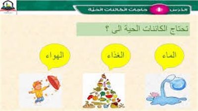 كل ما تريد معرفته عن حاجات الكائنات الحية