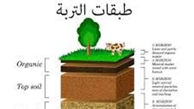 كل ما تريد معرفته عن تكوين التربة