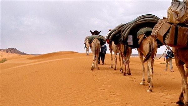 موقع أيام نيوز