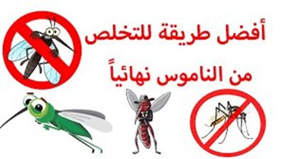 افضل طريقه للتخلص من الناموس نهائيا