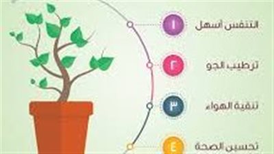 فوائد النبات في المنزل