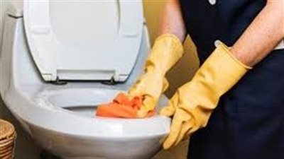 افضل طريقة التخلص من ذباب الحمام