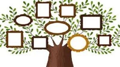 استكشاف جذور العائلة وبناء شجرة النسب