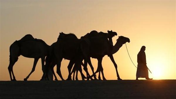 موقع أيام نيوز