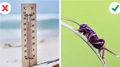 بدائل يمكن الاعتماد عليها في أمورنا الحياتية