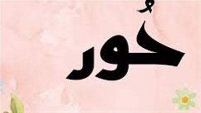 معنى اسم حور