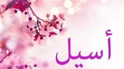 ما معنى اسم اسيل