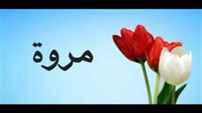 ما معنى اسم مروة
