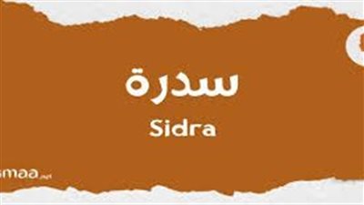 ما معنى اسم سدرة