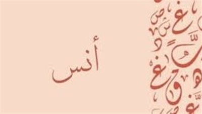 ما معنى اسم انس