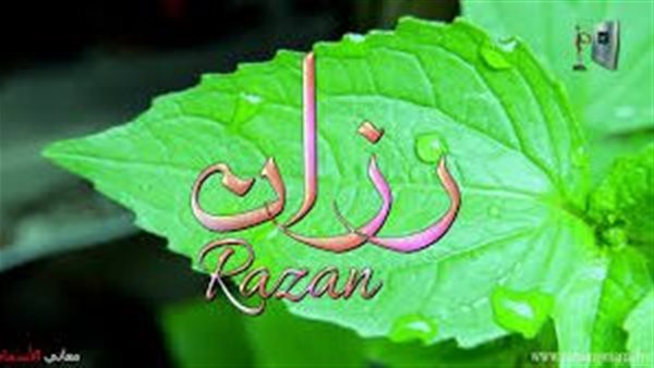 موقع أيام نيوز