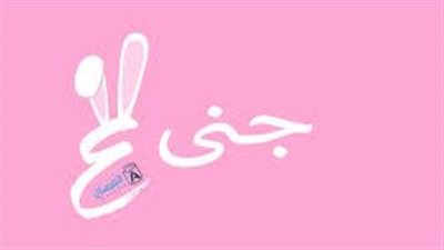 ما معنى اسم جنى