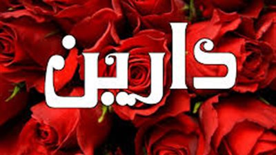 ما معنى اسم دارين