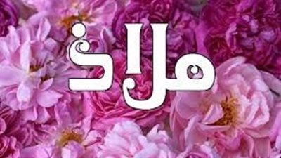 ما معنى اسم ملاذ