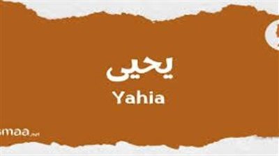 ما معنى اسم يحيى