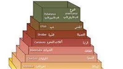 مفهوم علم التصنيف