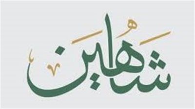  ما معنى اسم شاهين