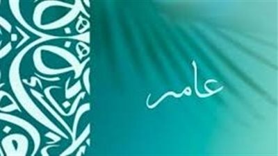 ما معنى اسم عامر