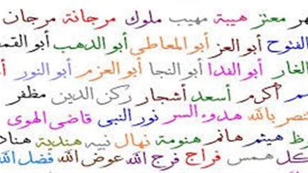 موقع أيام نيوز