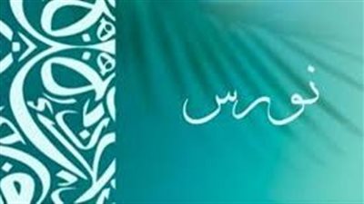 ما معنى اسم نورس