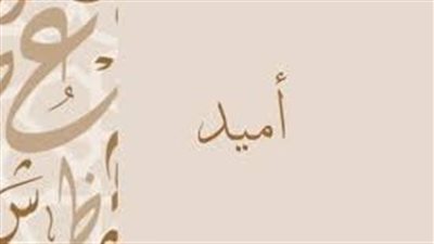 ما معنى اسم أميد