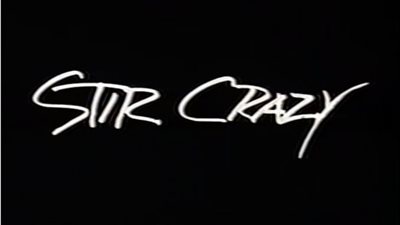 قصة مسلسل Stir Crazy