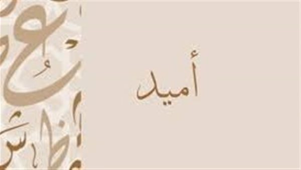 موقع أيام نيوز